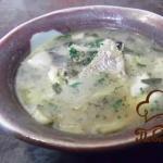 Суп из сельдерея: рецепты Как приготовить суп из корневого сельдерея